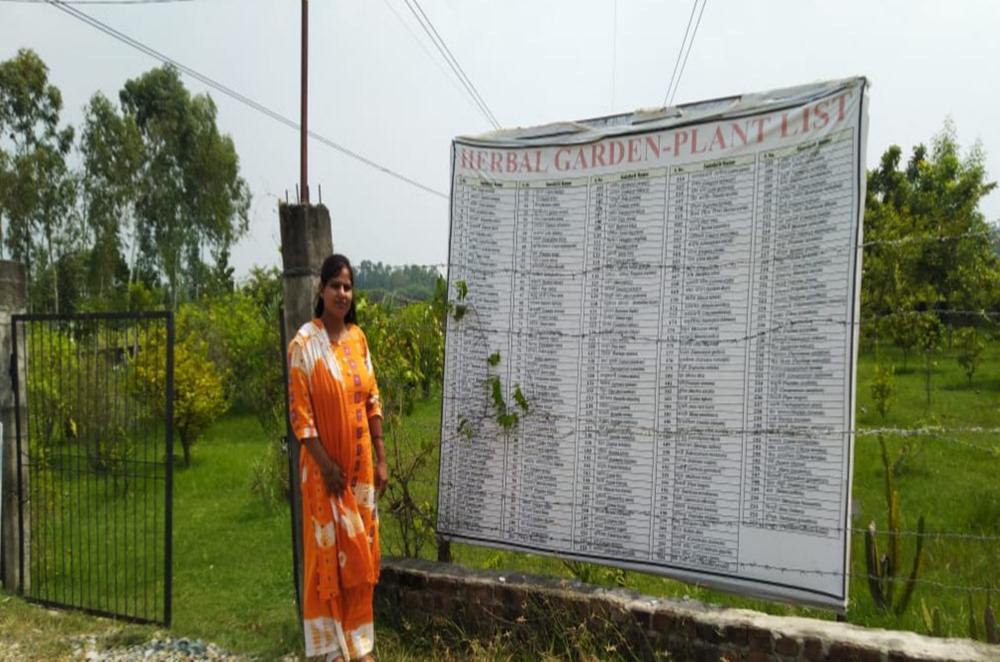 Herbal Garden 